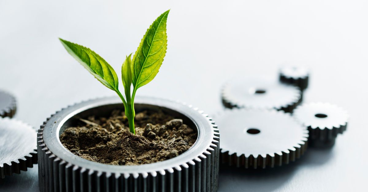 Zo kies je dé perfecte hostingpartij als reseller